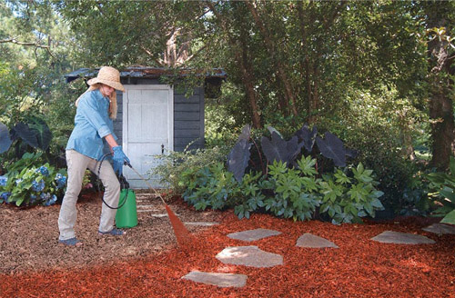 Рубер мульча. Декоративная щепа для сада. Мульчирование клубники опилками. Мульча сосновый опад. Как правильно засыпать мульчу.