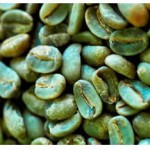 semi caffè verde