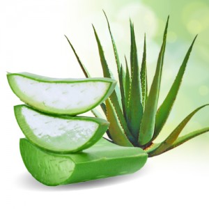 aloe