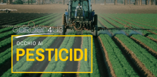 Pesticidi dannosi