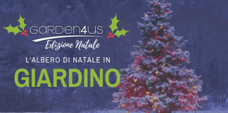 Albero di Natale in giardino