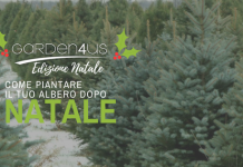 albero di natale