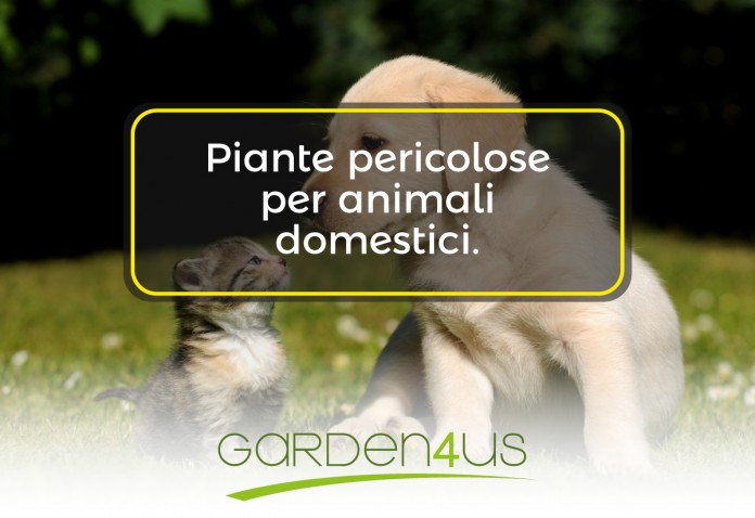 piante pericolose per gli animali domestici