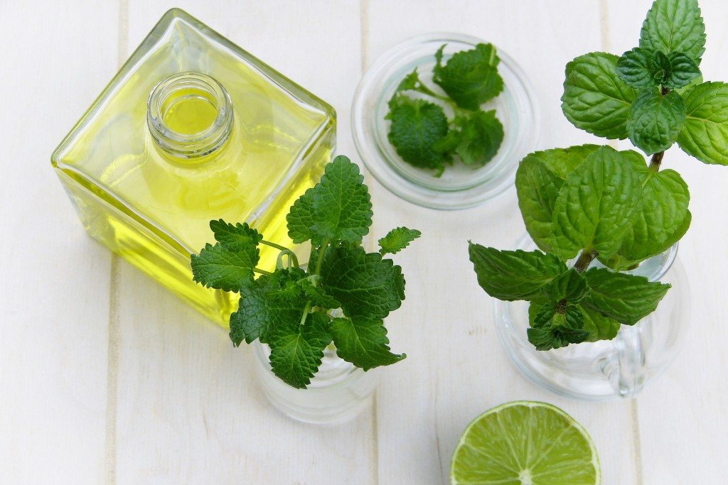 essenza di menta fatta in casa come coltivare la menta