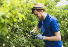 come diventare giardiniere