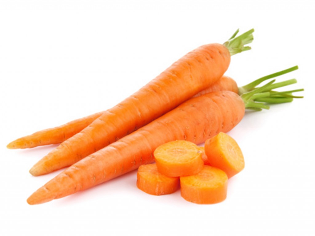 coltivazione carote semina carote
