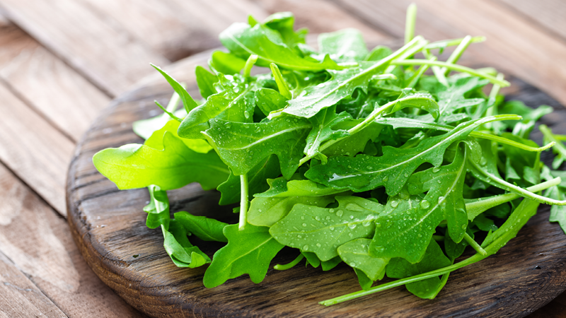 raccolta semina rucola