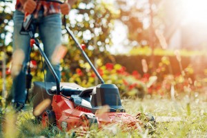 Lawn-Mowing-Early-Spring