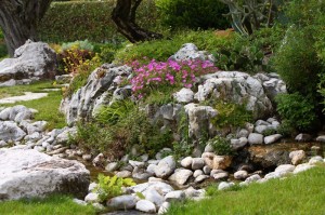 Foto giardino roccioso e fiori