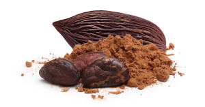 Cacao nobile con spolverata