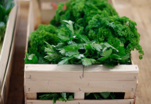 Casseruola con prezzemolo verde raccolto all'interno