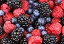 Scatto frontale frutti di bosco