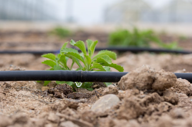 Gocciolatore per irrigatore - Garden4us