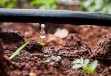 Irrigazione a goccia su terreno - Garden4us