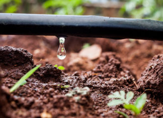 Irrigazione a goccia su terreno - Garden4us