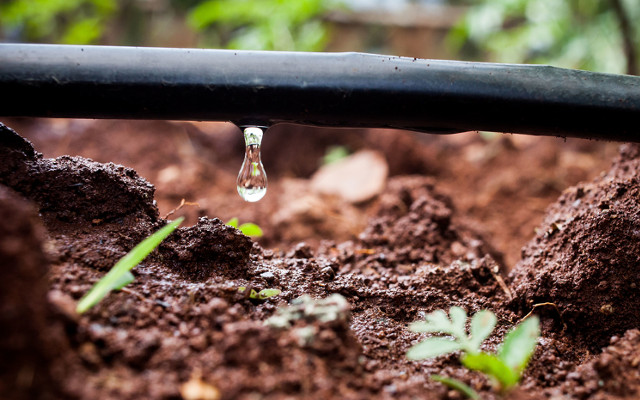 Irrigazione a goccia su terreno - Garden4us