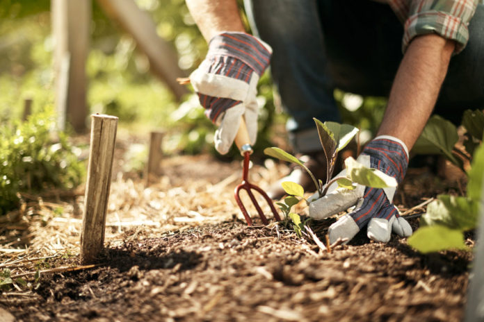 Come irrigare l'orto - Garden4us