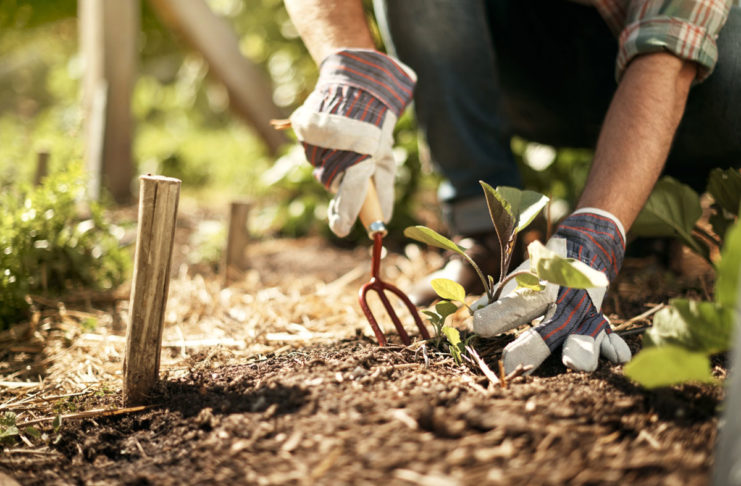 Come irrigare l'orto - Garden4us